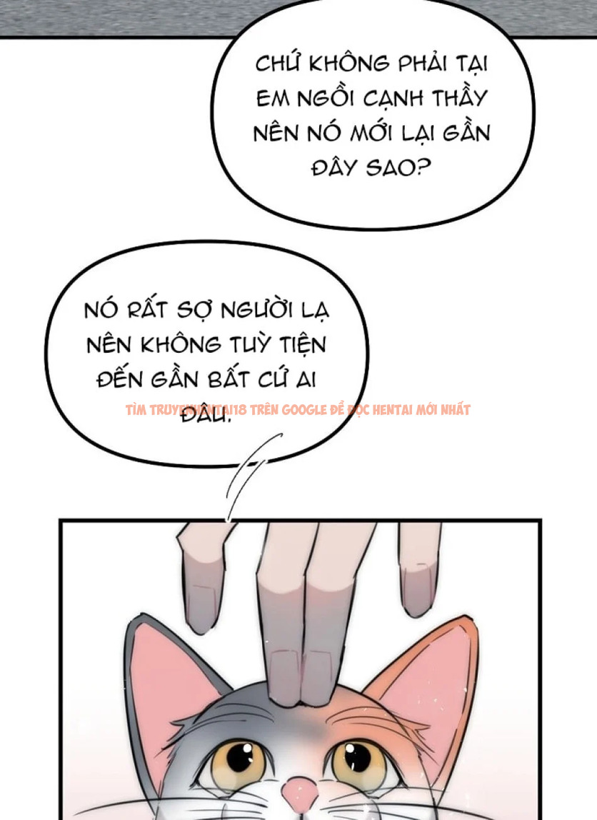 Xem ảnh 58 trong truyện hentai Thầy Giáo Sa Lưới - Chapter 8 - hentaitvn.net