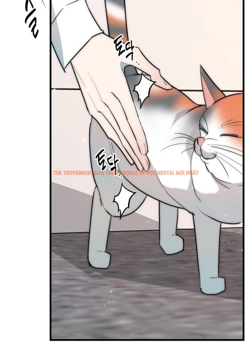 Xem ảnh 66 trong truyện hentai Thầy Giáo Sa Lưới - Chapter 8 - hentaitvn.net