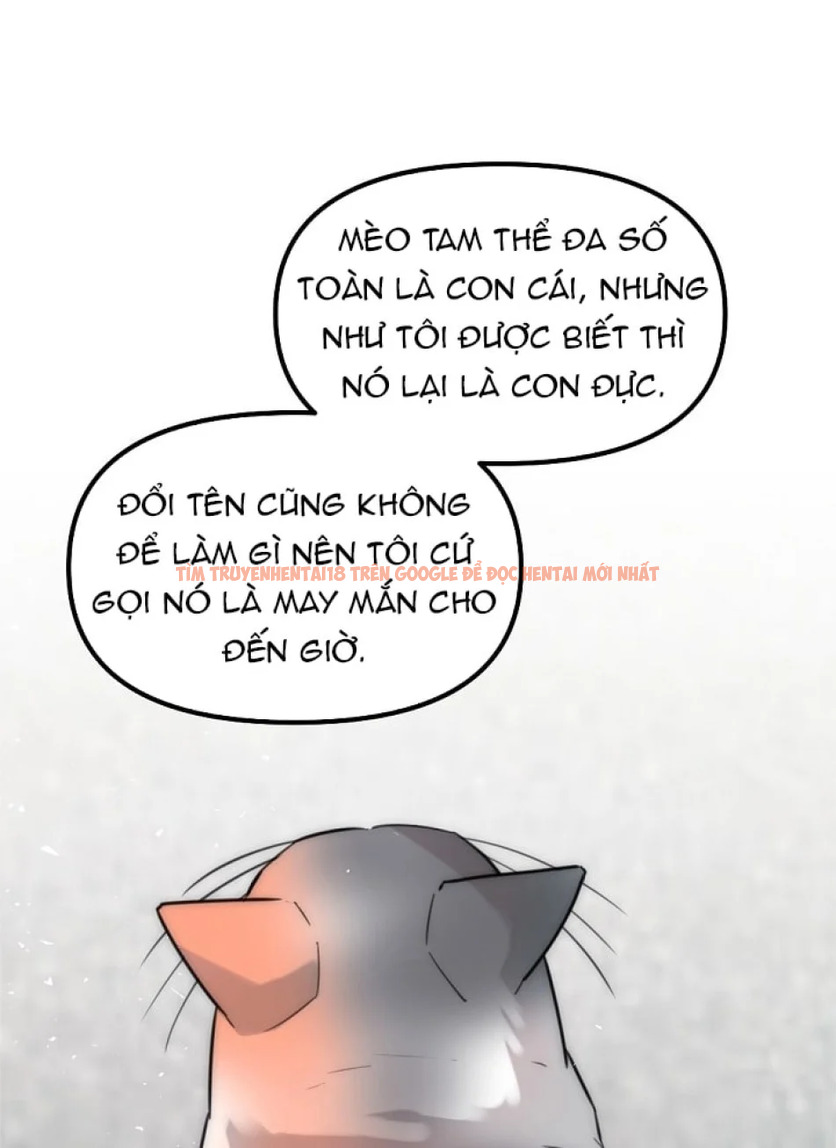 Xem ảnh 69 trong truyện hentai Thầy Giáo Sa Lưới - Chapter 8 - hentaitvn.net