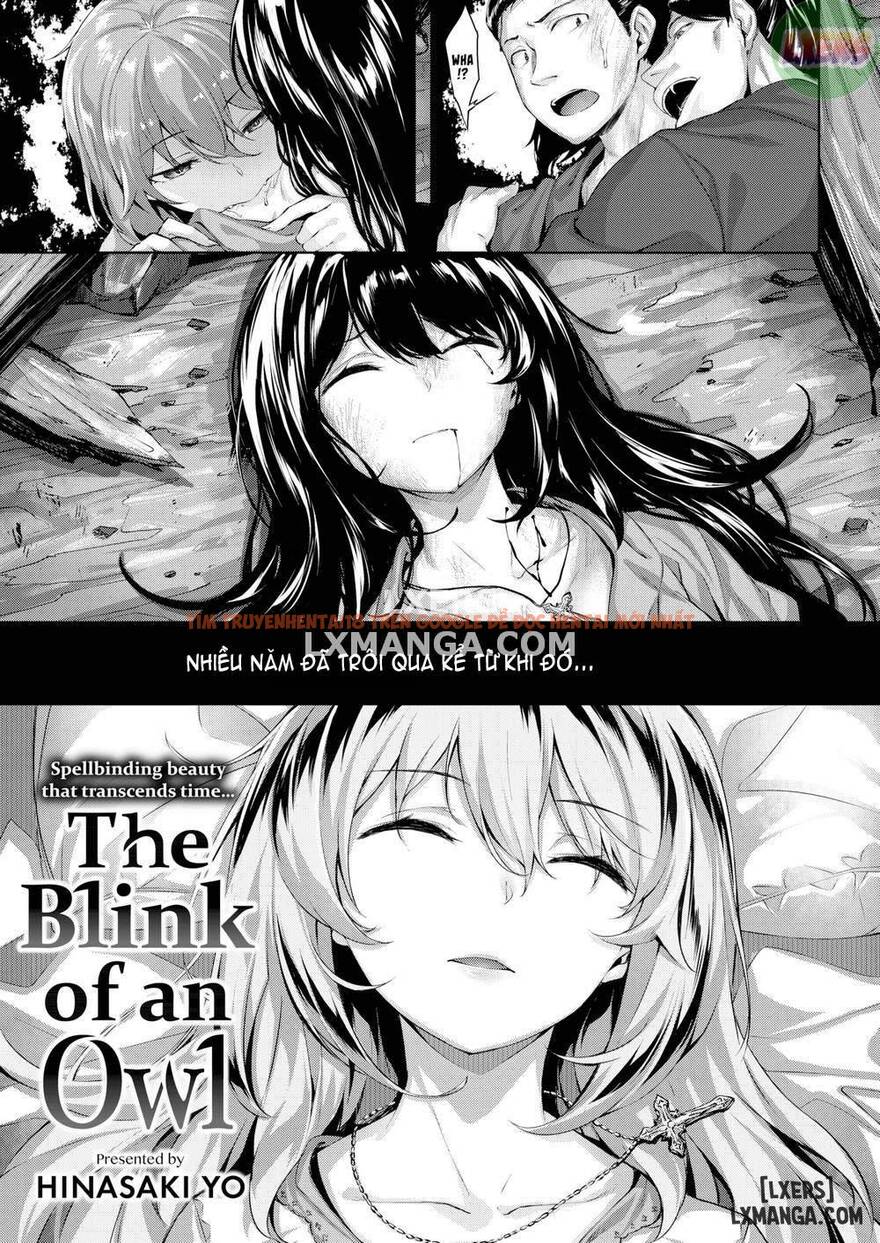 Xem ảnh 2 trong truyện hentai The Blink Of An Owl - One Shot - hentaitvn.net