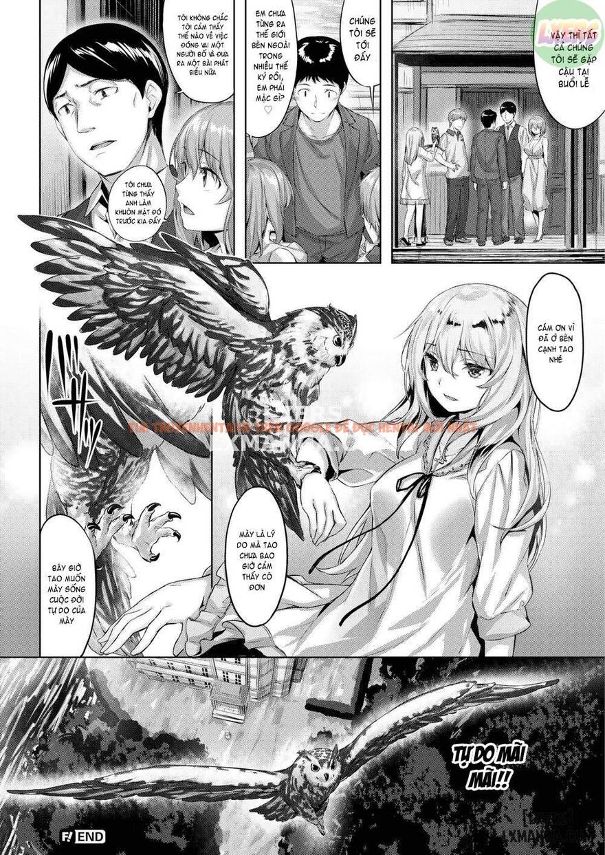 Xem ảnh 25 trong truyện hentai The Blink Of An Owl - One Shot - hentaitvn.net