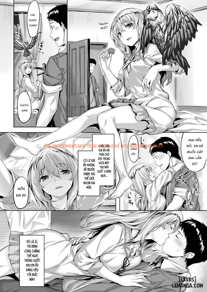 Xem ảnh 17 trong truyện hentai The Owl's Mansion - Chapter 2 END - hentaitvn.net
