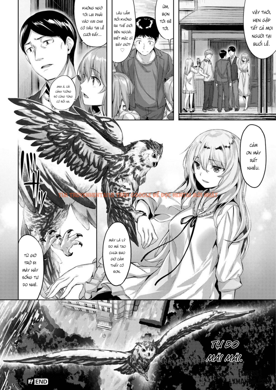 Xem ảnh 29 trong truyện hentai The Owl's Mansion - Chapter 2 END - hentaitvn.net