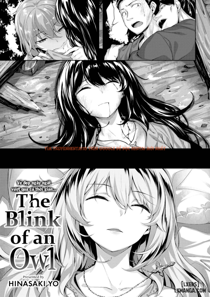 Xem ảnh 6 trong truyện hentai The Owl's Mansion - Chapter 2 END - hentaitvn.net