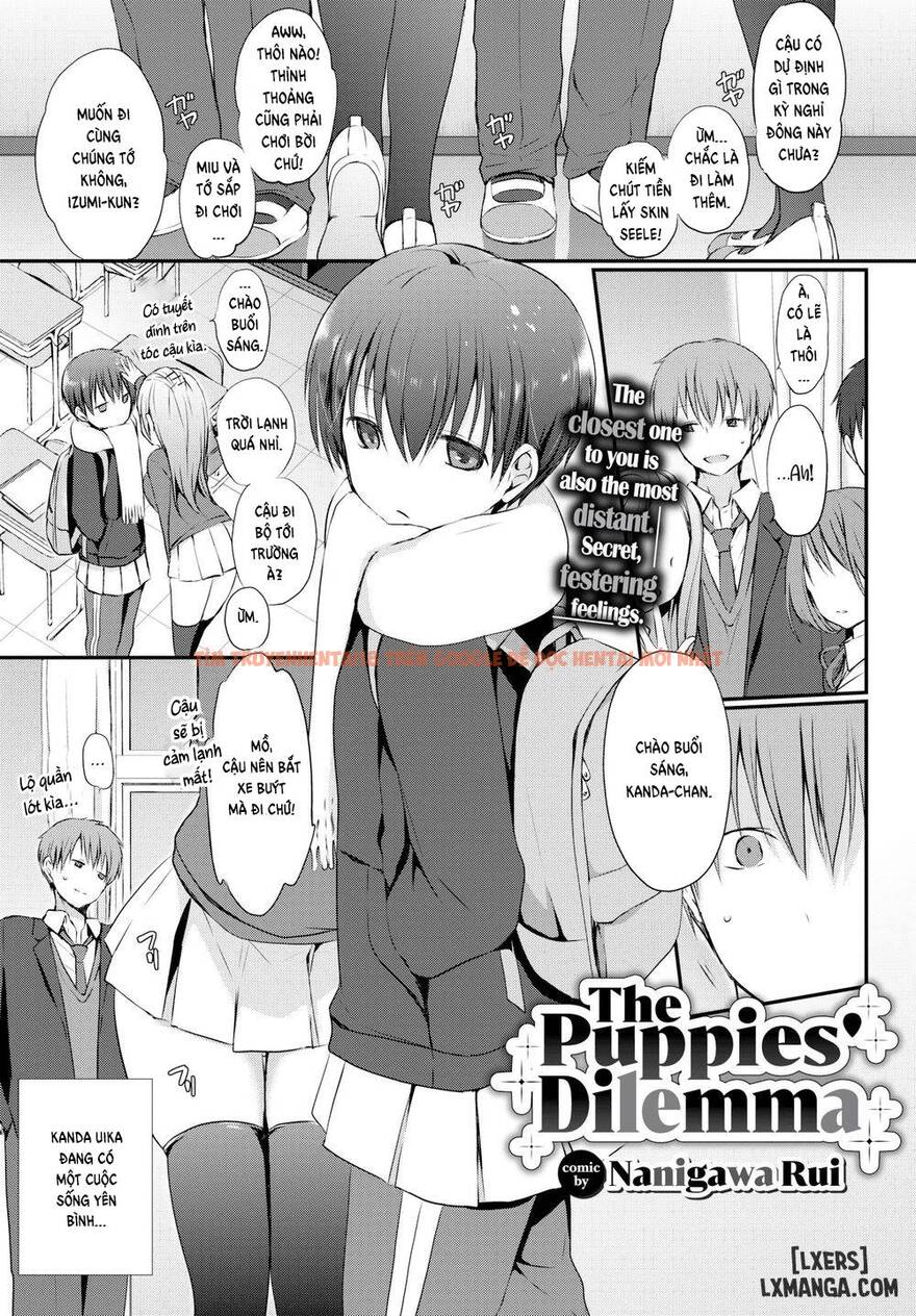 Xem ảnh 0 trong truyện hentai The Puppies’ Dilemma - One Shot - hentaitvn.net