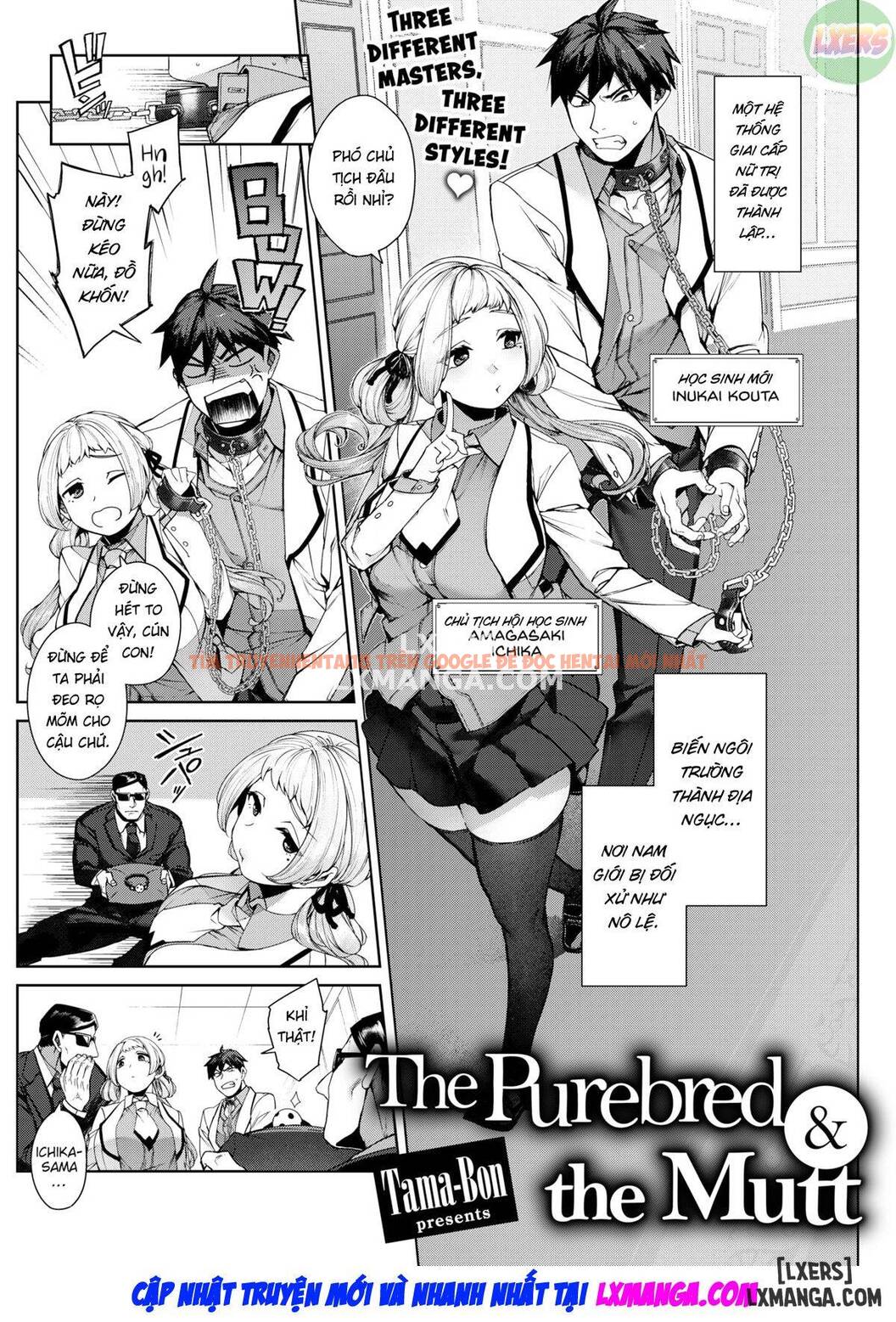 Xem ảnh 4 trong truyện hentai The Purebred And The Mutt - One Shot - hentaitvn.net