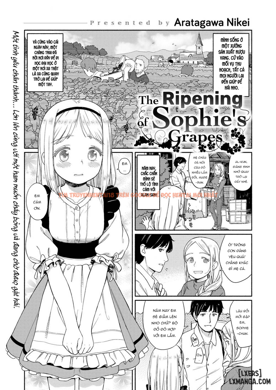 Xem ảnh 0 trong truyện hentai The Ripening Of Sophie’s Grapes - One Shot - hentaitvn.net