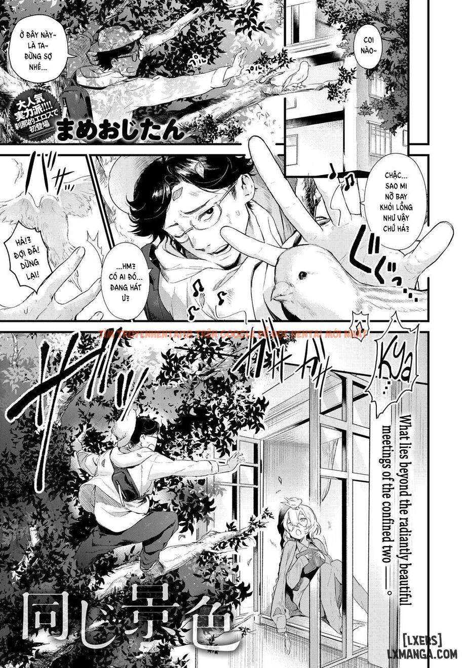 Xem ảnh 0 trong truyện hentai The Same Sights - One Shot - hentaitvn.net