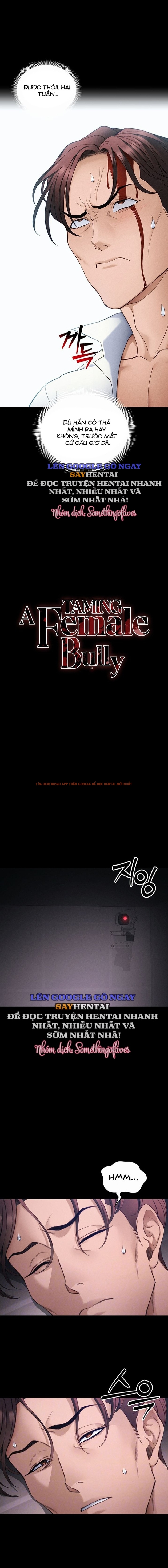 Xem ảnh Thuần Phục Kẻ Bắt Nạt - Chapter 38 - 2 - Truyenhentaiz.net Xem ảnh Thuần Phục Kẻ Bắt Nạt - Chapter 38 - 2 - Truyenhentaiz.net