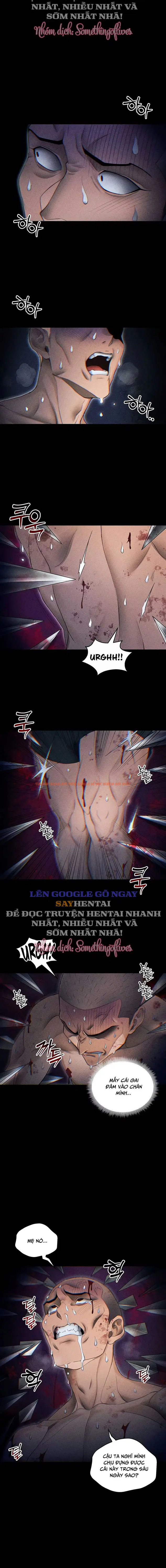 Xem ảnh Thuần Phục Kẻ Bắt Nạt - Chapter 46 - 10 - Truyenhentaiz.net