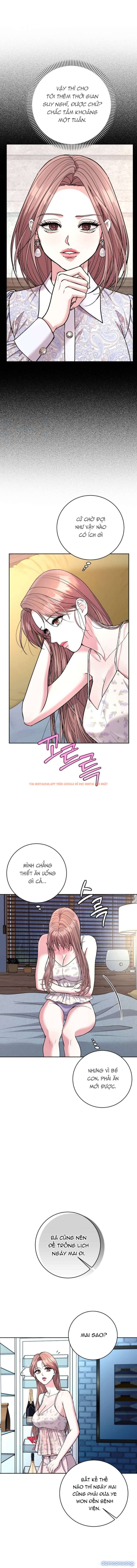 Xem ảnh Tình Là Dây Oan - Chapter 14 - 3 - Truyenhentaiz.net