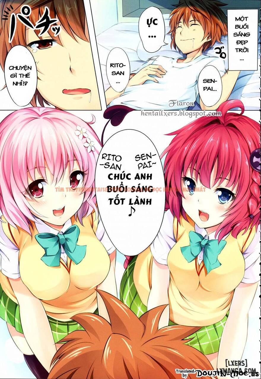 Xem ảnh 1 trong truyện hentai To Love-Ru Party - One Shot - hentaitvn.net
