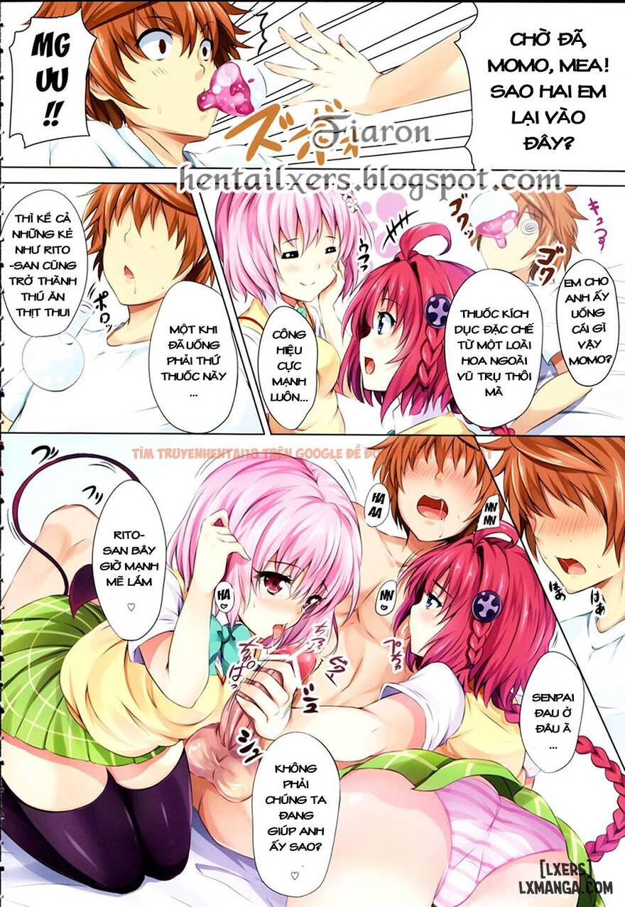 Xem ảnh 2 trong truyện hentai To Love-Ru Party - One Shot - hentaitvn.net