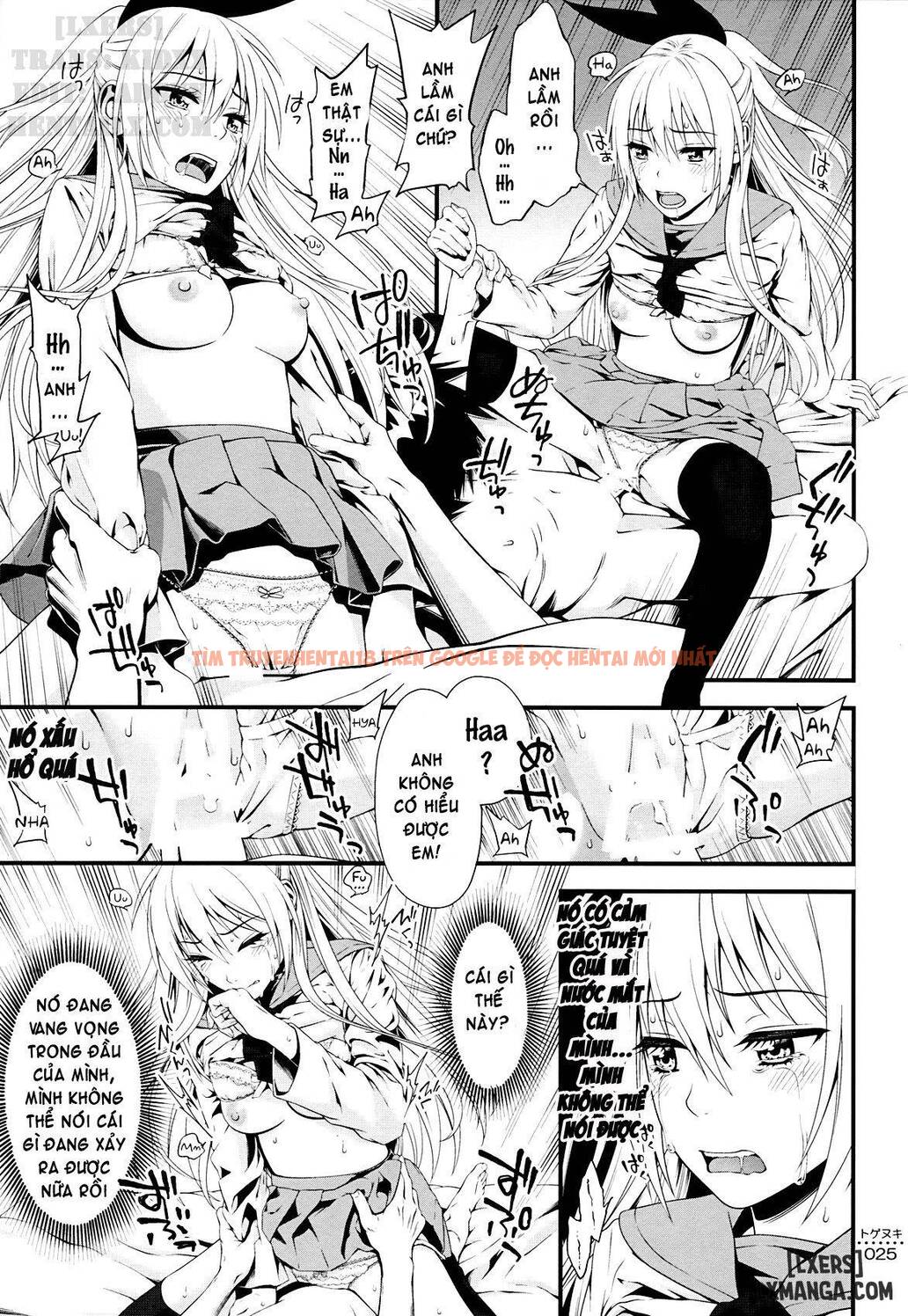 Trang truyện 22 trong truyện tranh Xuyên Màng Trinh Nisekoi - One Shot - truyentvn.net