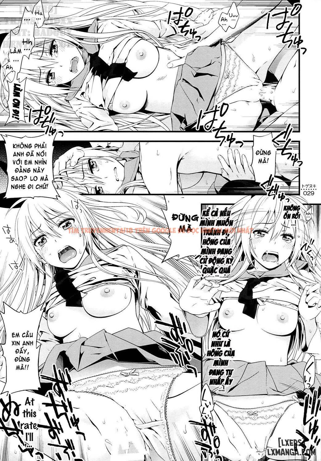 Trang truyện 26 trong truyện tranh Xuyên Màng Trinh Nisekoi - One Shot - truyentvn.net
