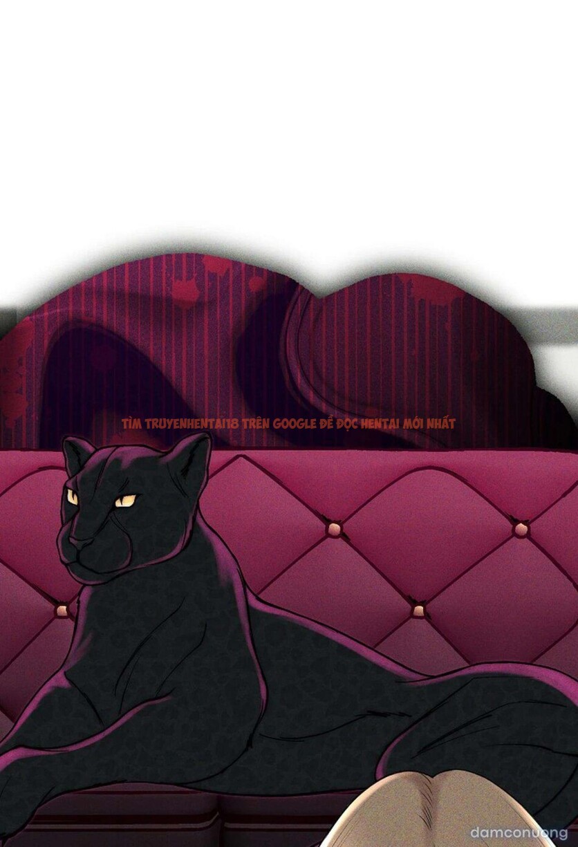 Xem ảnh 4 5 trong truyện hentai Tôi Nhặt Được Gã Anh Trai Điên Khùng - Chapter 10 - hentaitvn.net