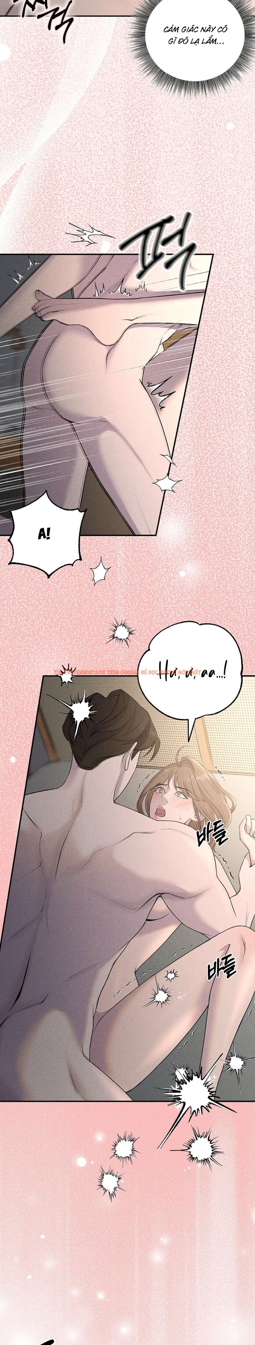 Xem ảnh Tôi Nhặt Được Gã Anh Trai Điên Khùng - Chapter 17 - 4 1 - Truyenhentaiz.net