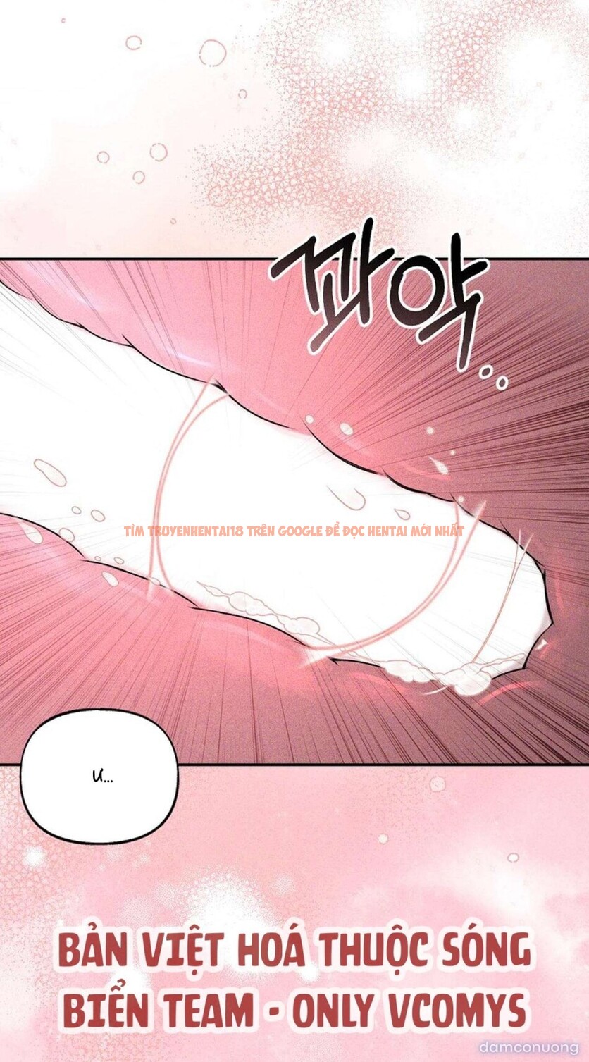 Xem ảnh Tôi Nhặt Được Gã Anh Trai Điên Khùng - Chapter 17 - 5 2 - Truyenhentaiz.net