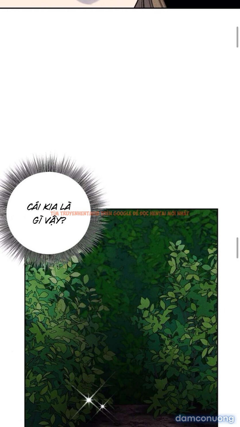 Xem ảnh 10 2 trong truyện hentai Tôi Nhặt Được Gã Anh Trai Điên Khùng - Chapter 7 - hentaitvn.net Xem ảnh 10 2 trong truyện hentai Tôi Nhặt Được Gã Anh Trai Điên Khùng - Chapter 7 - hentaitvn.net