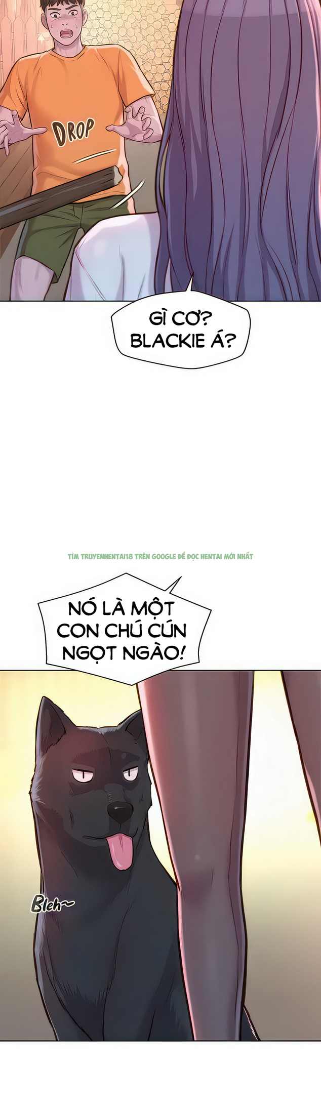 Hình ảnh 66765c957d078 trong Trại Hè Lãng Mạn - Chap 38 - Hentaimanhwa.net