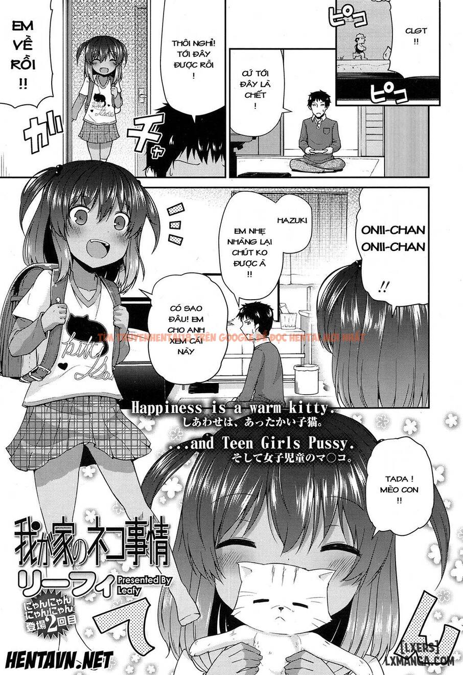Xem ảnh 0 trong truyện hentai Wagaya No Neko Jijou - One Shot - hentaitvn.net
