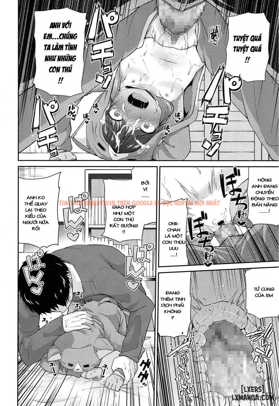 Xem ảnh 13 trong truyện hentai Wagaya No Neko Jijou - One Shot - hentaitvn.net