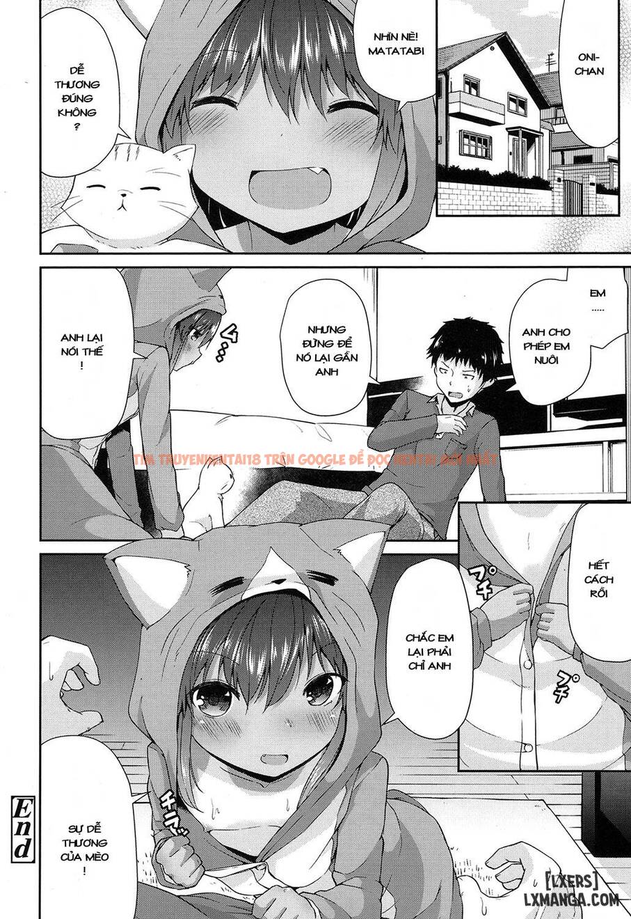 Xem ảnh 17 trong truyện hentai Wagaya No Neko Jijou - One Shot - hentaitvn.net
