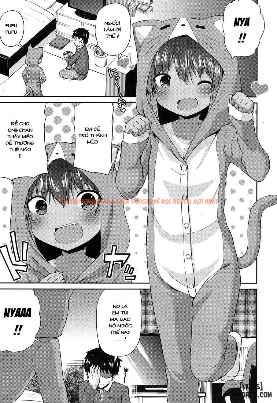 Xem ảnh 2 trong truyện hentai Wagaya No Neko Jijou - One Shot - hentaitvn.net