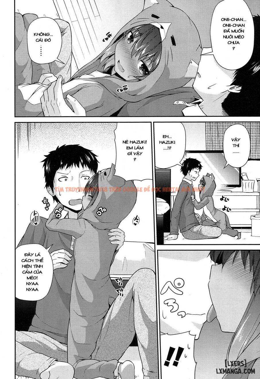 Xem ảnh 5 trong truyện hentai Wagaya No Neko Jijou - One Shot - hentaitvn.net