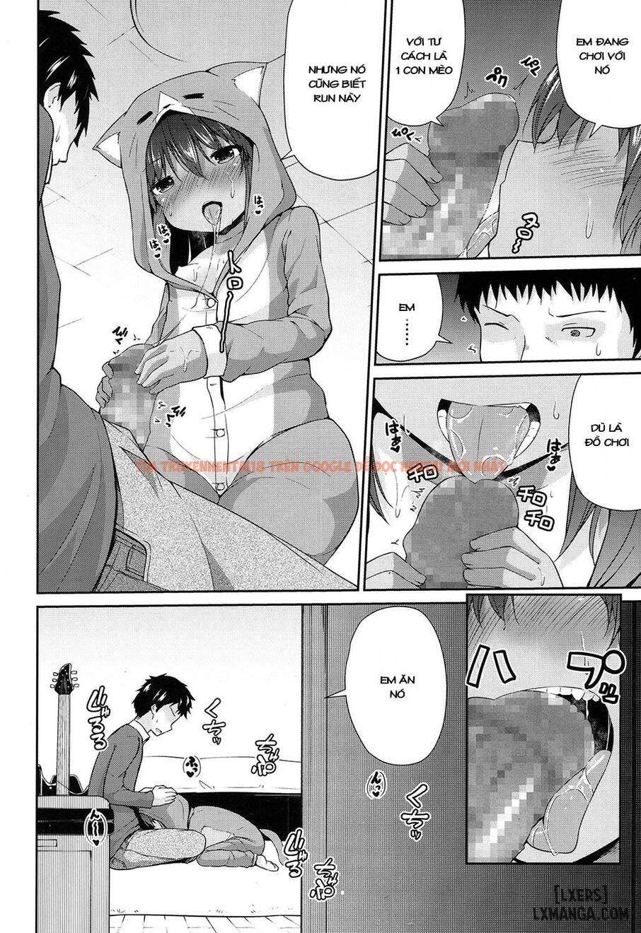 Xem ảnh 7 trong truyện hentai Wagaya No Neko Jijou - One Shot - hentaitvn.net