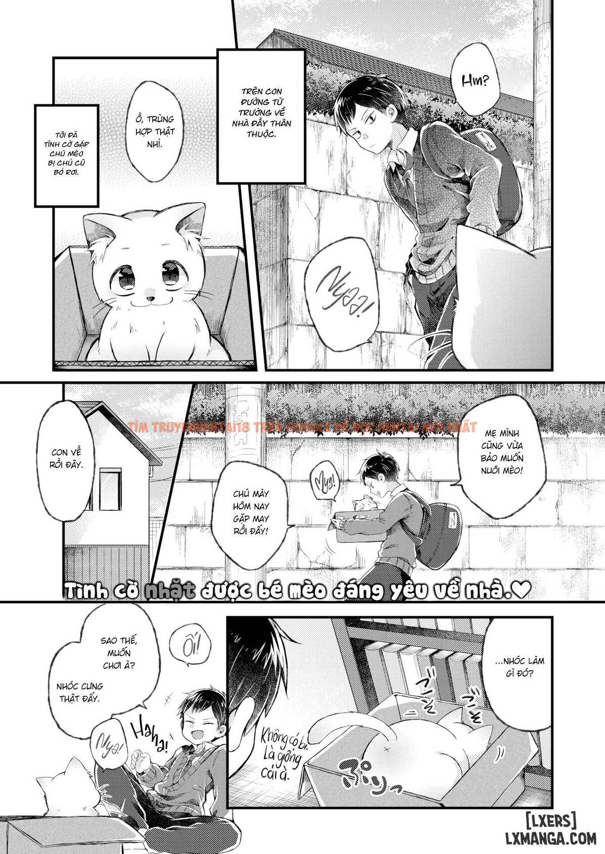 Xem ảnh 3 trong truyện hentai What's The Myatter With You! - One Shot - hentaitvn.net