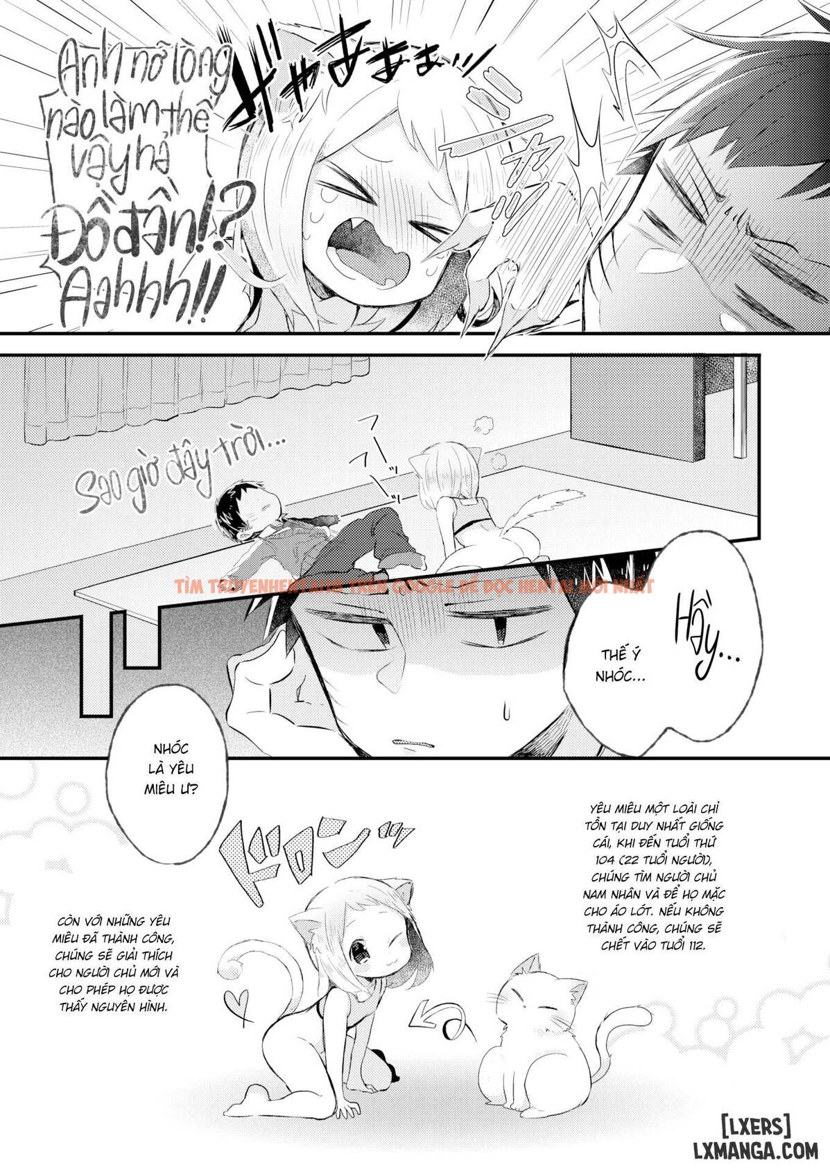 Xem ảnh 7 trong truyện hentai What's The Myatter With You! - One Shot - hentaitvn.net