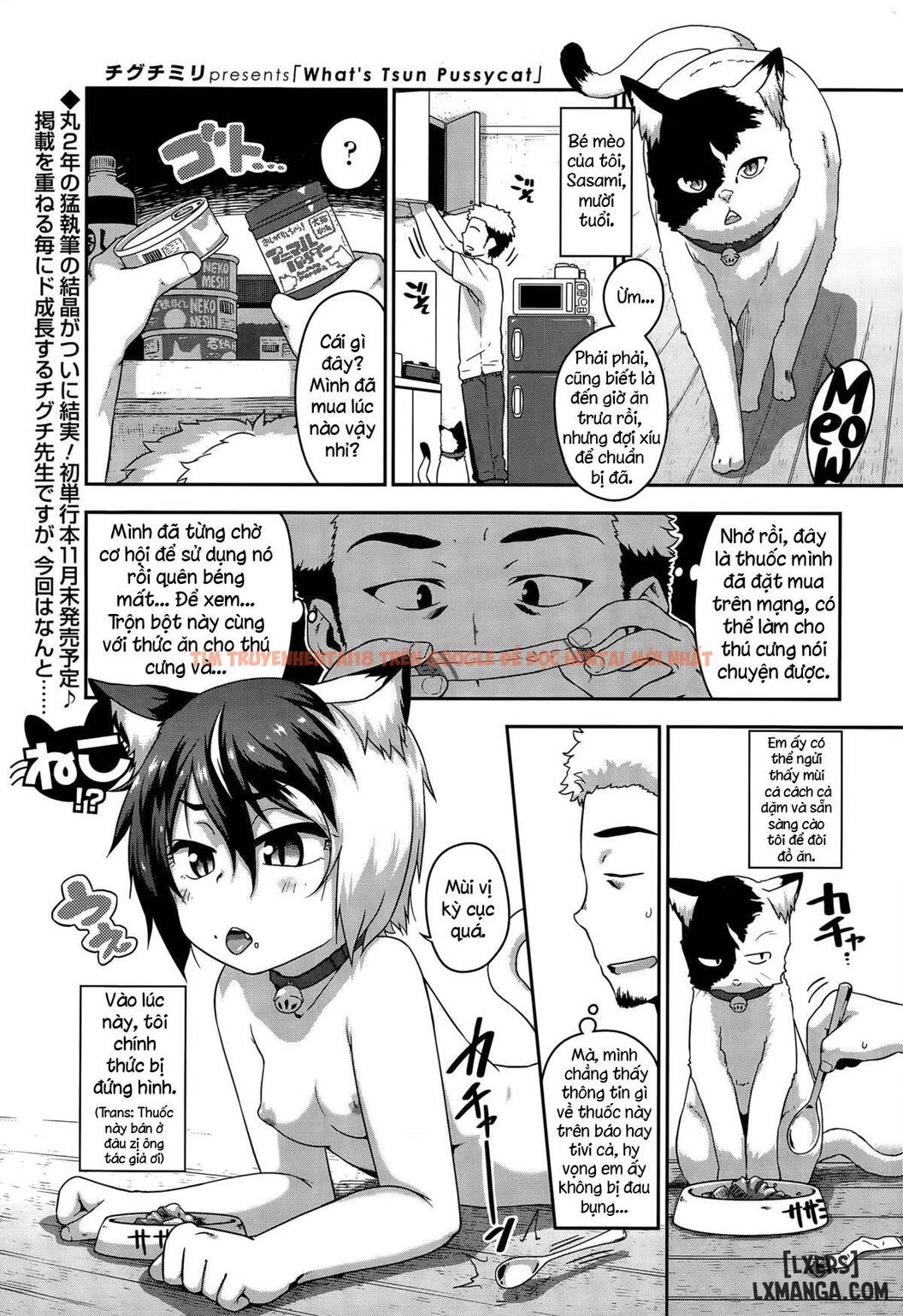 Xem ảnh 0 trong truyện hentai What's Tsun Pussycat - One Shot - hentaitvn.net
