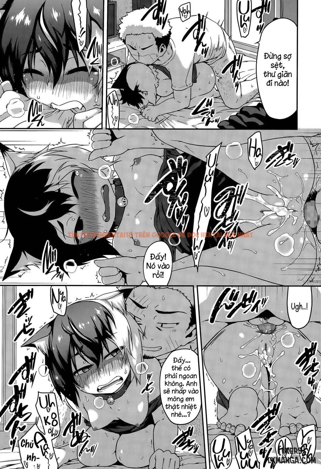 Xem ảnh 16 trong truyện hentai What's Tsun Pussycat - One Shot - hentaitvn.net