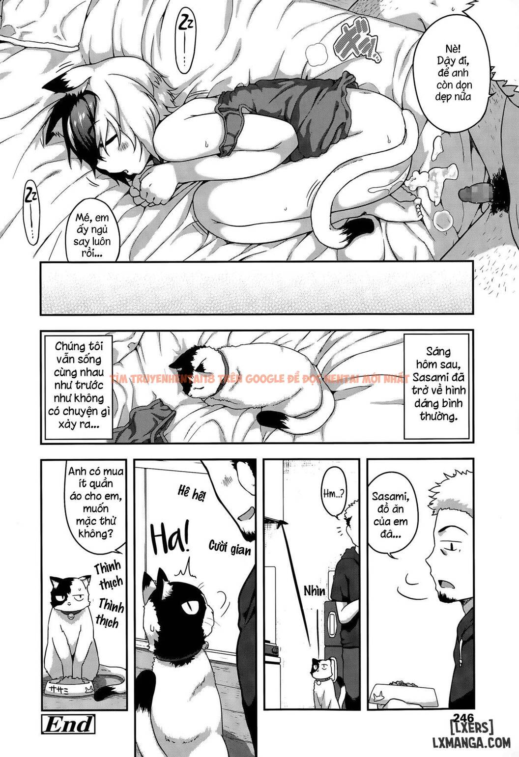 Xem ảnh 19 trong truyện hentai What's Tsun Pussycat - One Shot - hentaitvn.net
