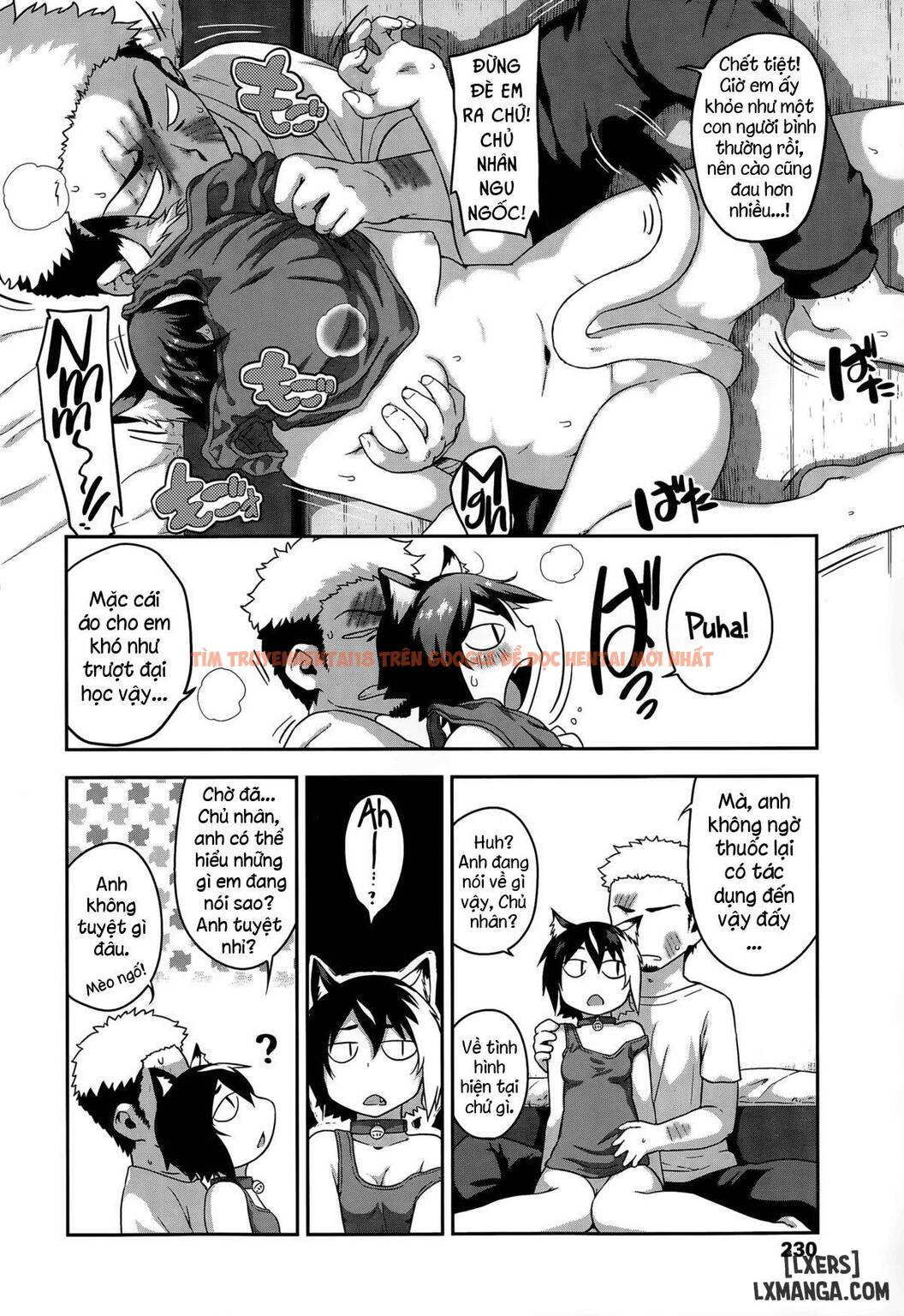 Xem ảnh 3 trong truyện hentai What's Tsun Pussycat - One Shot - hentaitvn.net