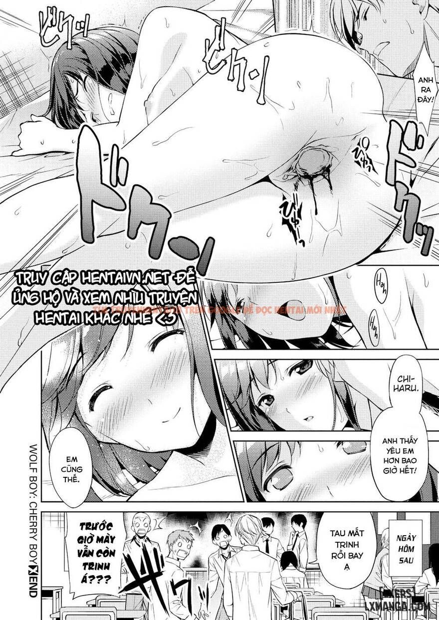 Xem ảnh 19 trong truyện hentai Bé Sói Trai, Bé Cherry Troai - One Shot - hentaitvn.net
