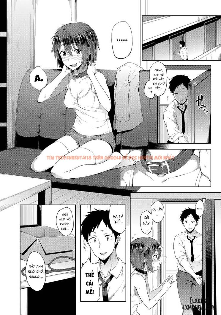 Trang truyện 1 trong truyện tranh Vòng Cổ Tình Dục Kỳ Diệu - One Shot - lxmanga.org