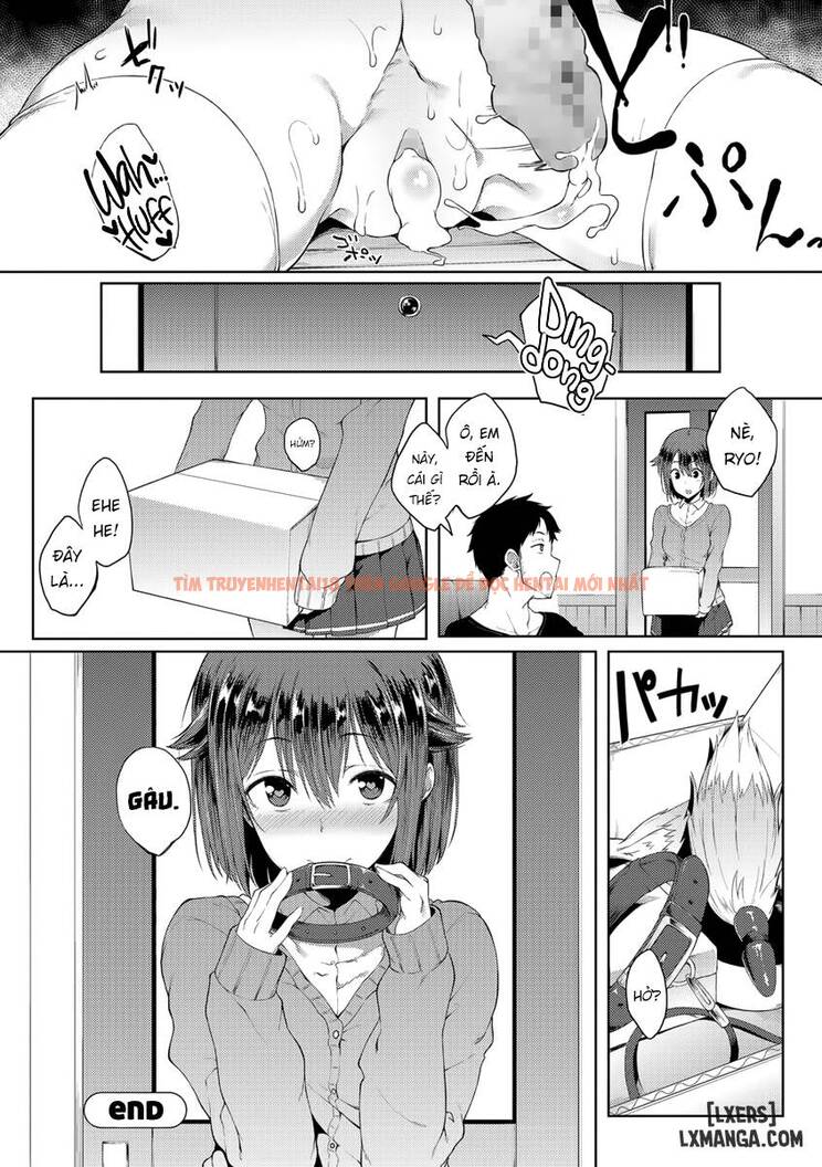 Trang truyện 15 trong truyện tranh Vòng Cổ Tình Dục Kỳ Diệu - One Shot - lxmanga.org